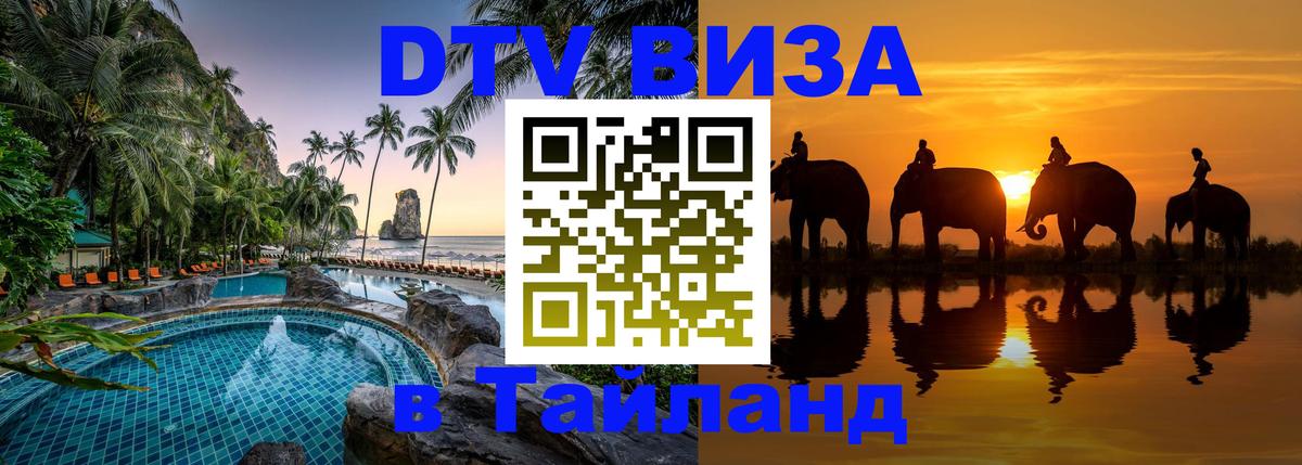 Оформление DTV визы под ключ: стоимость и тарифы, только загранпаспорт - Курган 